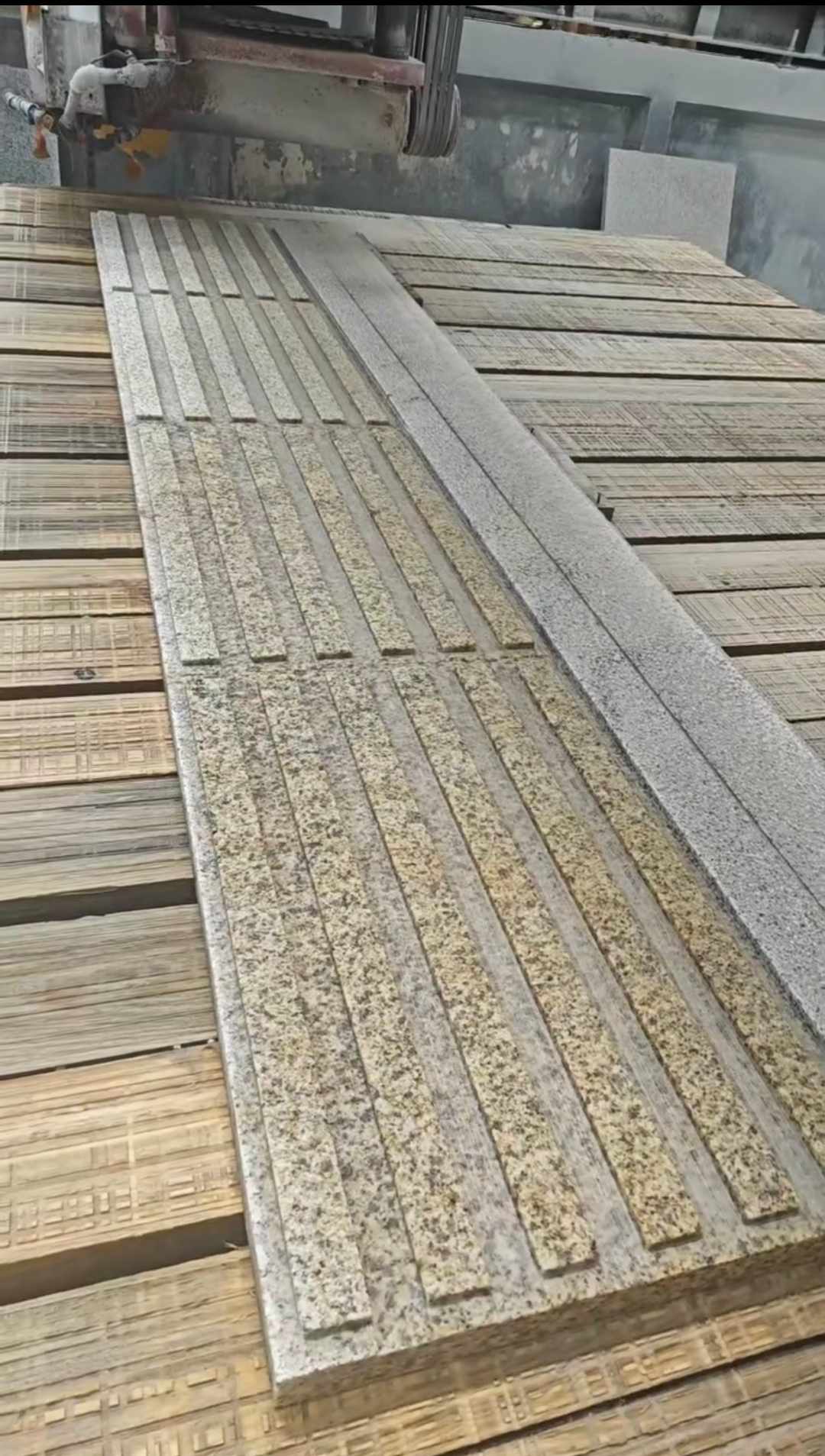 辽源黄金麻盲道石 盲条